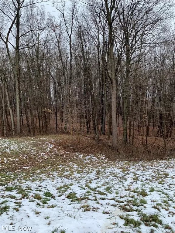 Bethesda, OH 43719,Helen Gregg RD