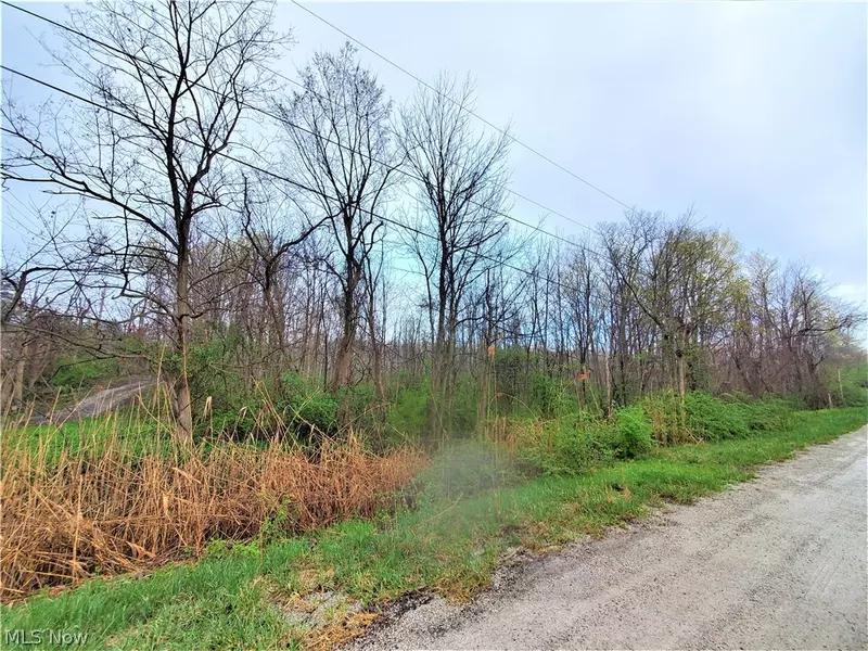 Ford RD, Leroy, OH 44057