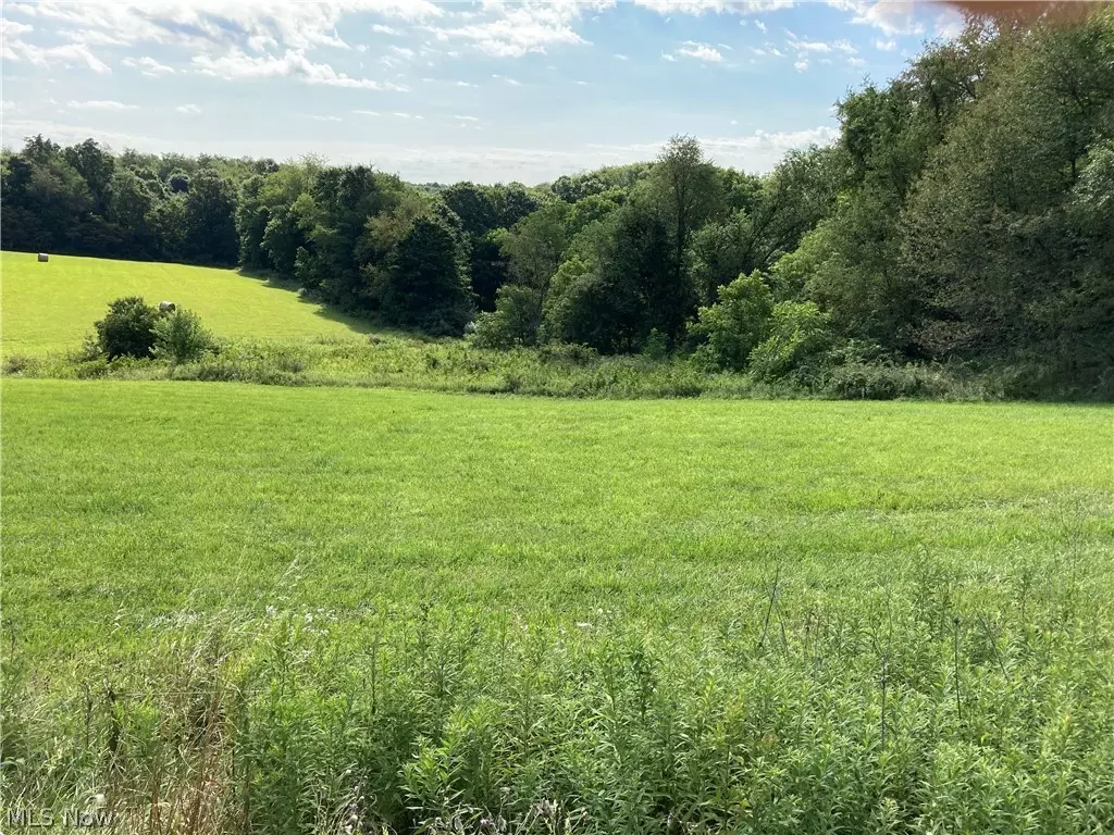 Bergholz, OH 43908,County Road 60