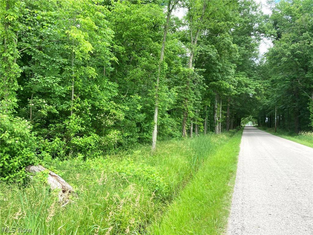 Moff RD, Atwater, OH 44201