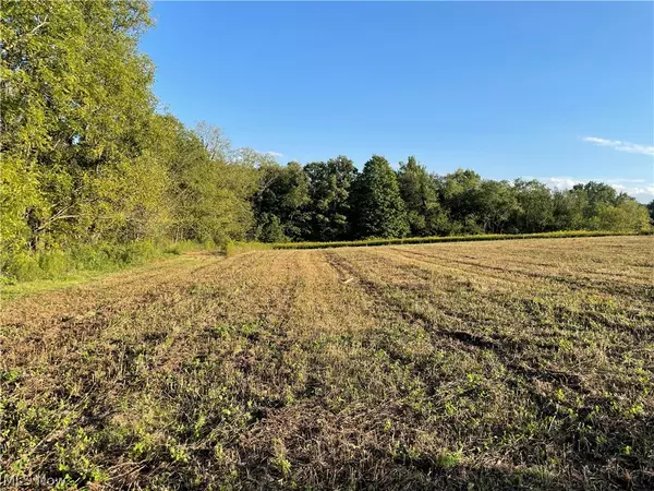 East Palestine, OH 44413,Poland Unity RD