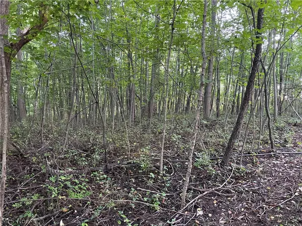 East Palestine, OH 44413,Poland Unity RD