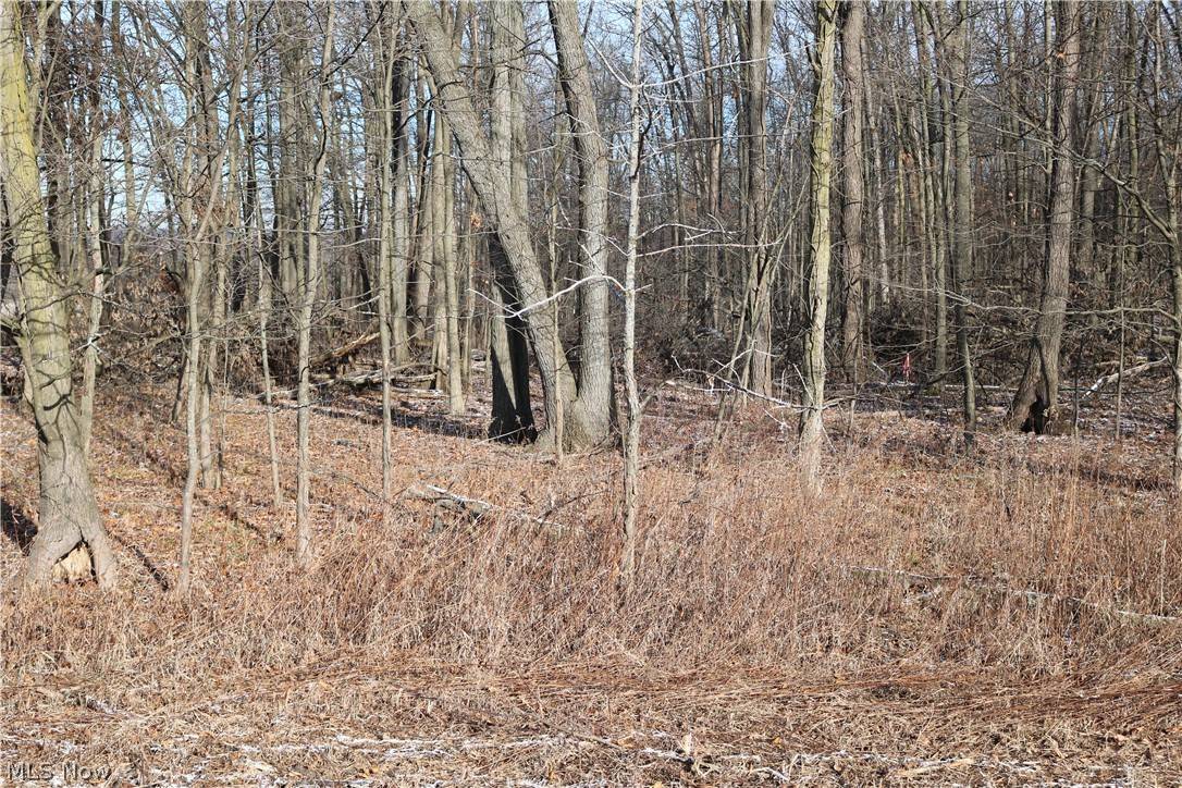 Ashland, OH 44801,TR 2156