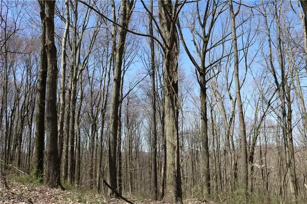 Freeport, OH 43973,75200 Smyrna RD