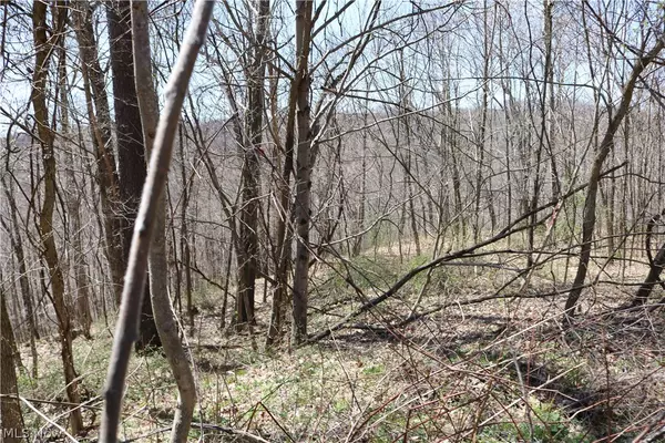 Freeport, OH 43973,75200 Smyrna RD