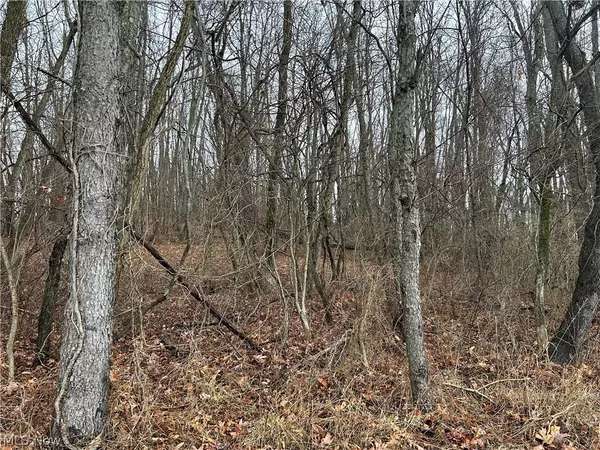 St. Clairsville, OH 43950,0 Green Valley RD