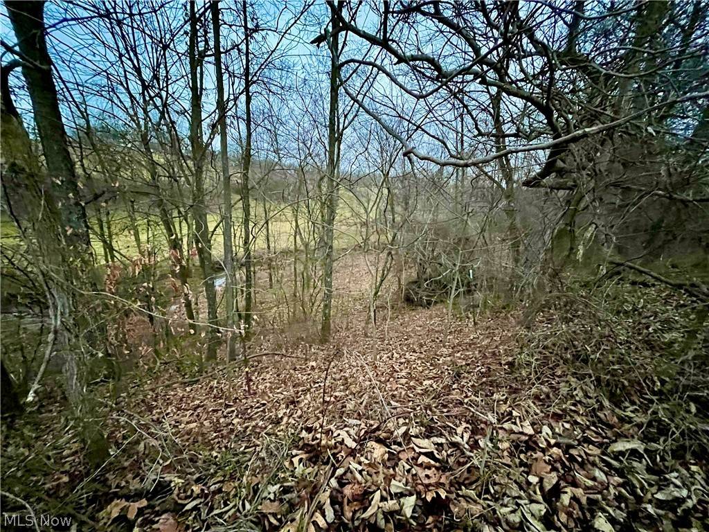 Vincent, OH 45784,Tract 2 Bell RD