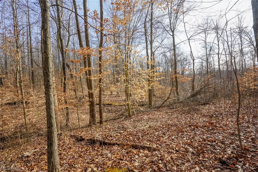 Lot 3 Wilbur Bush RD, Crooksville, OH 43731