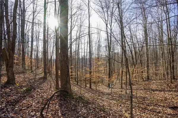 Lot 4 Wilbur Bush RD, Crooksville, OH 43731