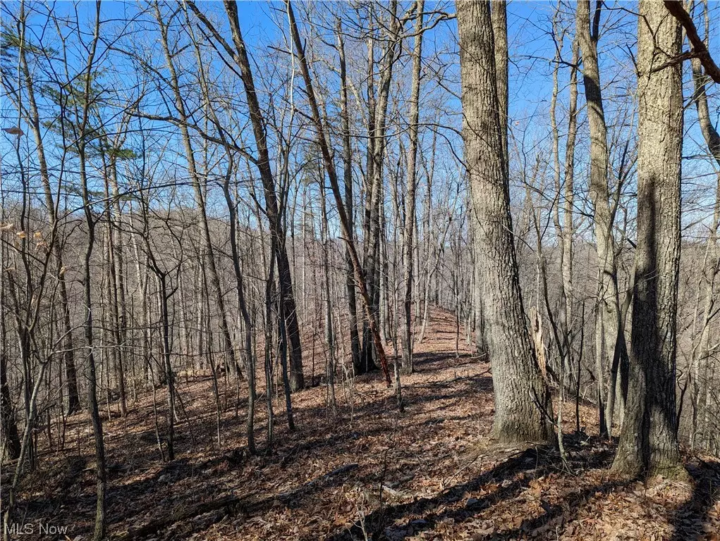 Big Bend, WV 26136,1950 Big Root