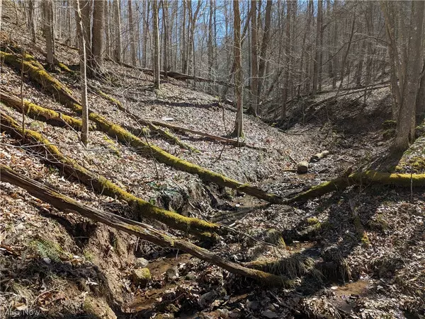 Big Bend, WV 26136,1950 Big Root