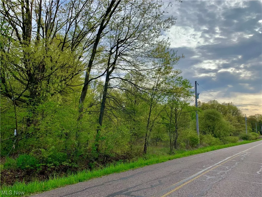 Berlin Center, OH 44401,Berlin Station RD