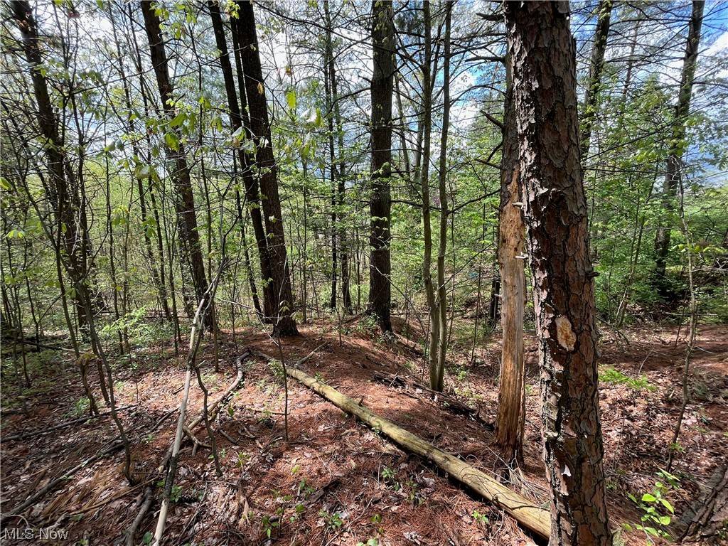 Vincent, OH 45784,Lot 38 Lewis Pointe DR