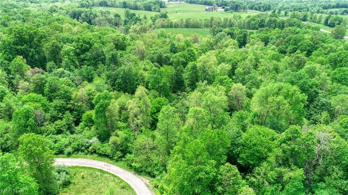 Lore City, OH 43755,63600 Wintergreen RD