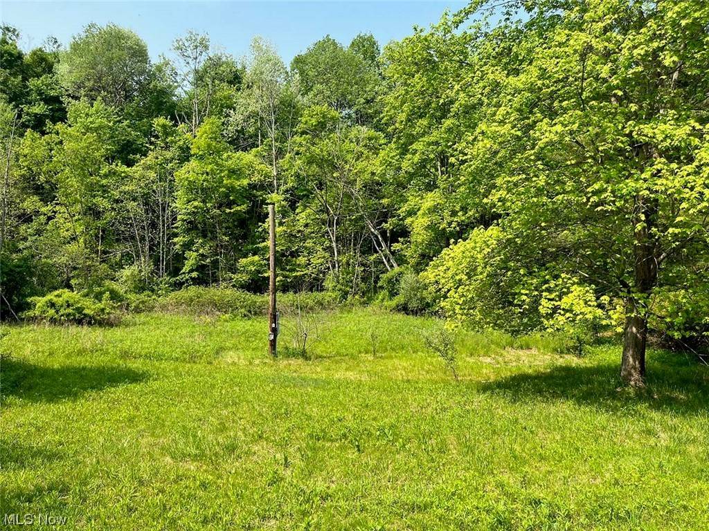 Hanoverton, OH 44423,12755 Gavers RD