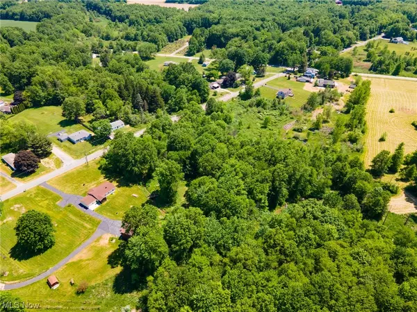 Warren, OH 44481,Palmyra