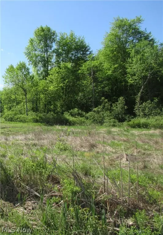 Andover, OH 44003,Woodard RD