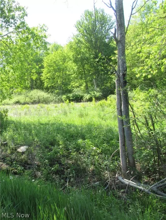 Andover, OH 44003,Woodard RD