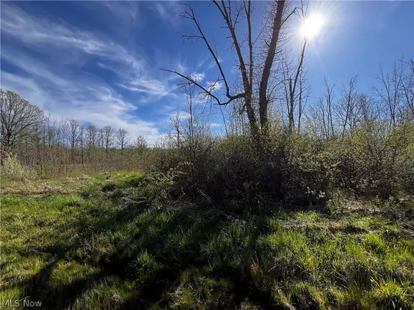 Roaming Shores, OH 44084,683 Rome Rock Creek RD