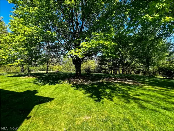 Lodi, OH 44254,7631 Vandemark RD