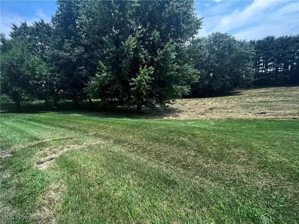 Jackson Township, OH 44216,Foxglove AVE NW