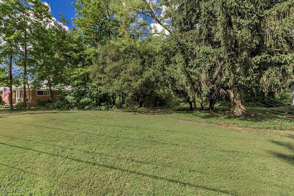 Chagrin Falls, OH 44022,V/L Fairview RD