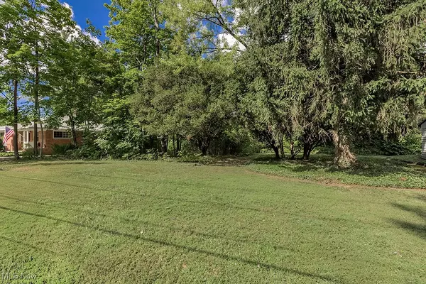 Chagrin Falls, OH 44022,V/L Fairview RD