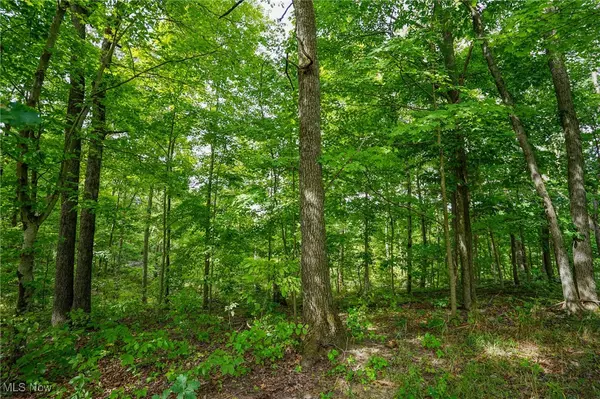 Beverly, OH 43728,St Rt 83