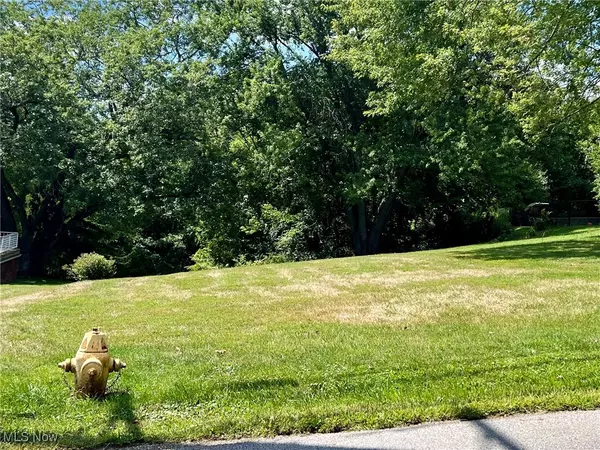 Fernwood RD, Wintersville, OH 43953
