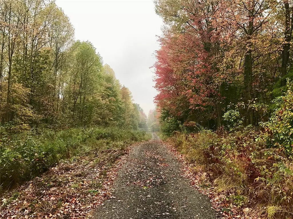 Garrettsville, OH 44231,Bryant