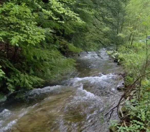 1004 Camp Scott RD,  Sutton,  WV 26601
