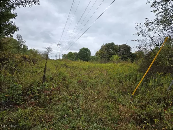 Windham, OH 44288,V/L Parkman RD