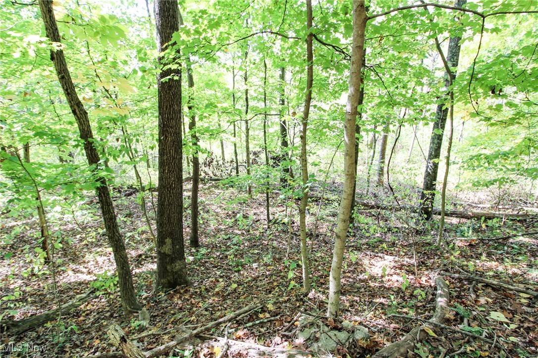 Marietta, OH 45750,Lot 4 Brooks RD