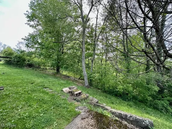 Adena, OH 43901,467 S Bridge ST