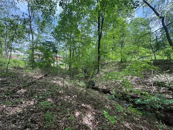 Belpre, OH 45714,316 Ridgewood BLVD