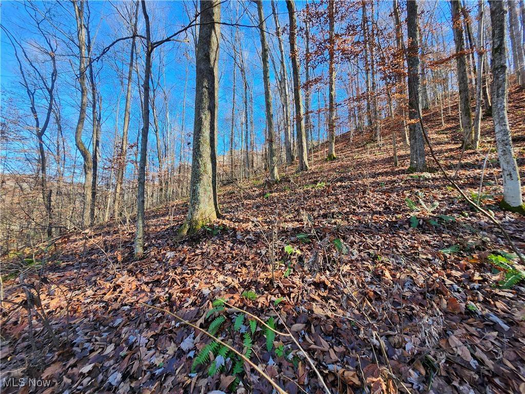Other, WV 25529,10.94 SF., TRACE FK.,; BIG CR.