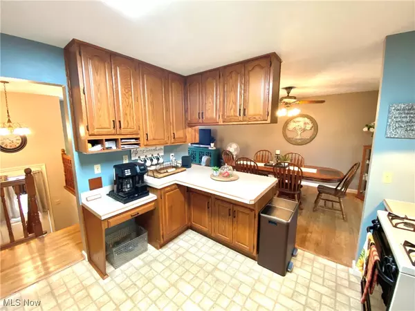 Streetsboro, OH 44241,9958 Meldon DR