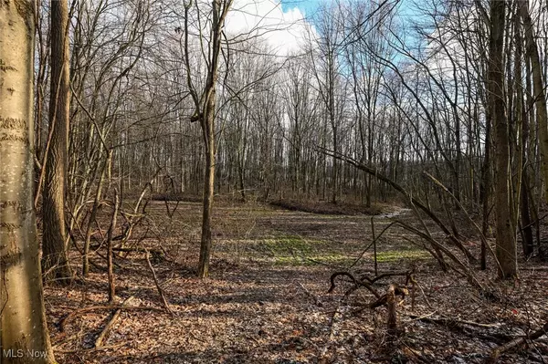 Garrettsville, OH 44231,11075 Center RD