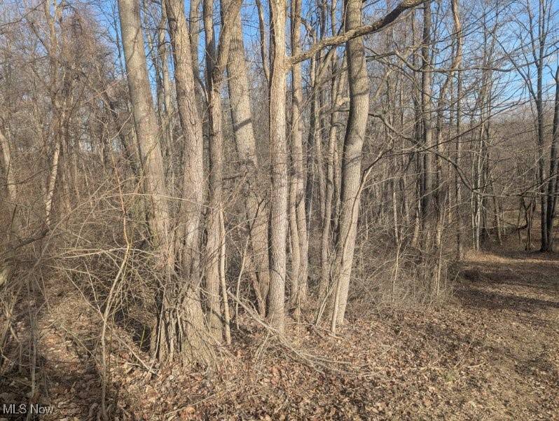 New Lexington, OH 43764,0 Township Road 215