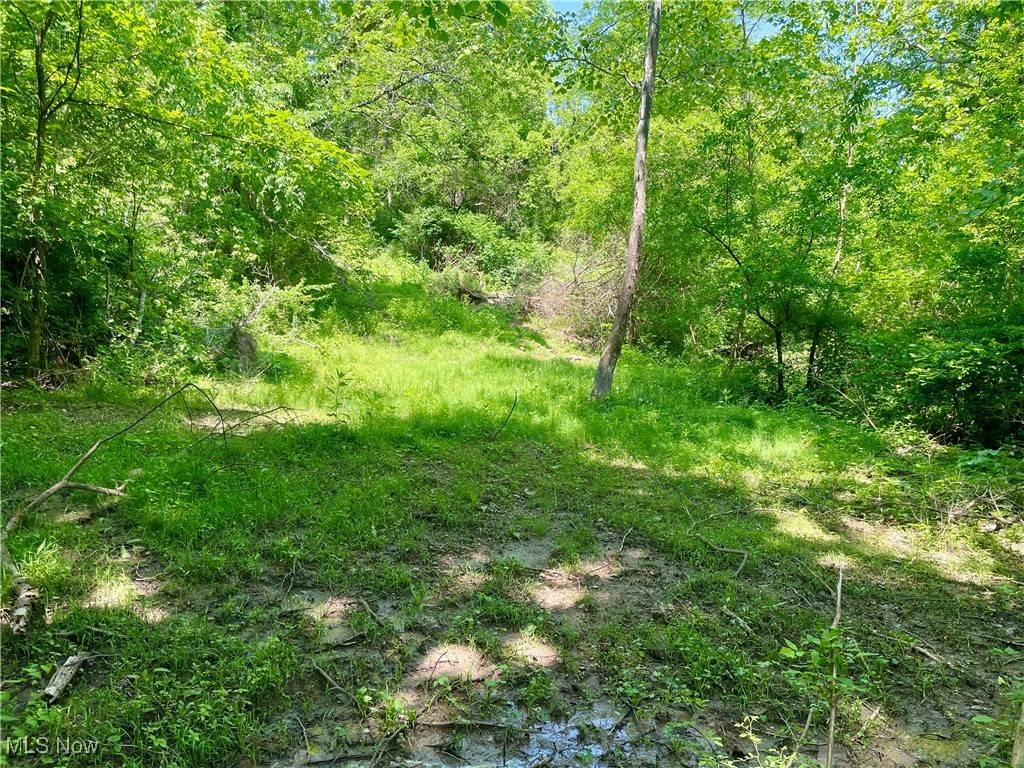 Caldwell, OH 43724,Valley RD