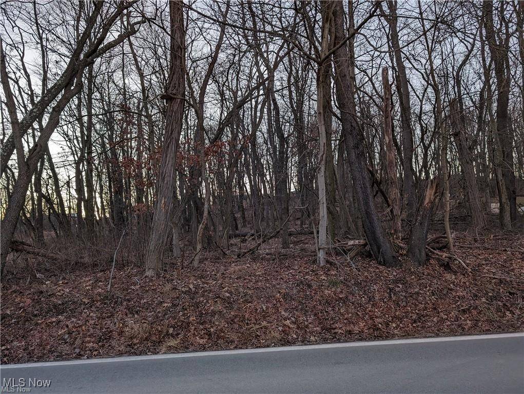 000 Florence RD, New Cumberland, WV 26047