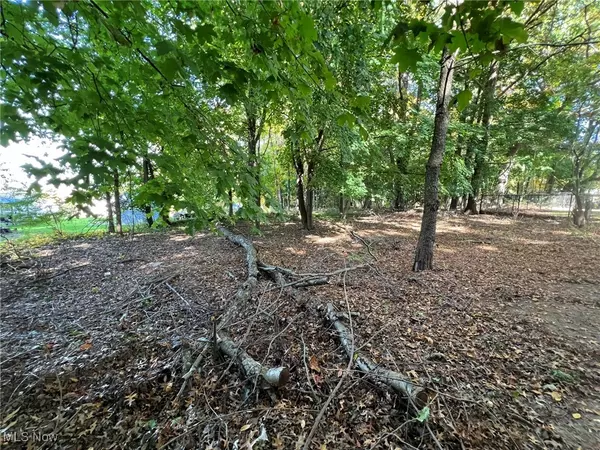 Akron, OH 44307,776 Kraus CT