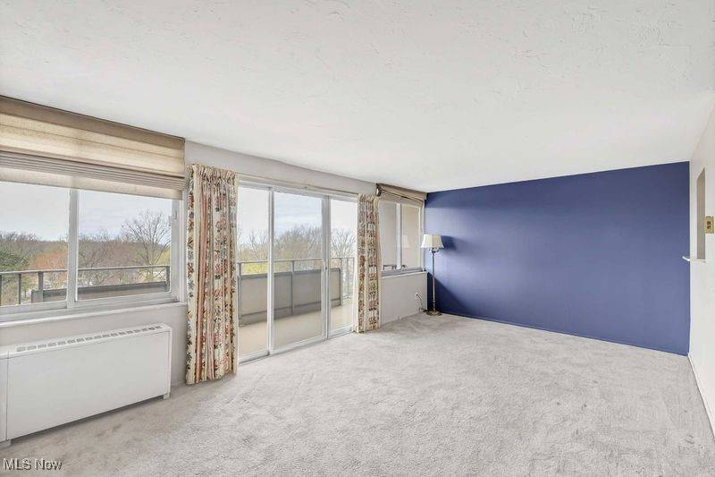 Lakewood, OH 44107,12900 Lake AVE #910