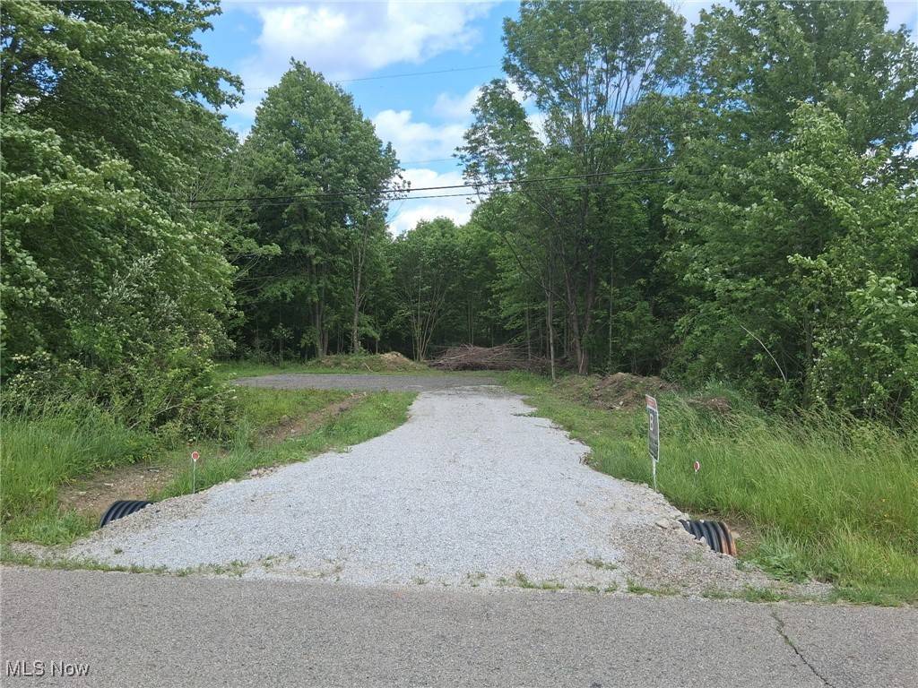 Love Warner RD, Cortland, OH 44410