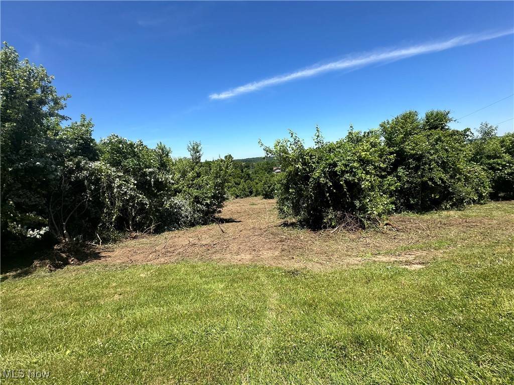 Belmont, OH 43718,0 Belmont Centerville RD