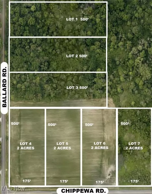 Chippewa Lake, OH 44215,Lot #4 Chippewa RD