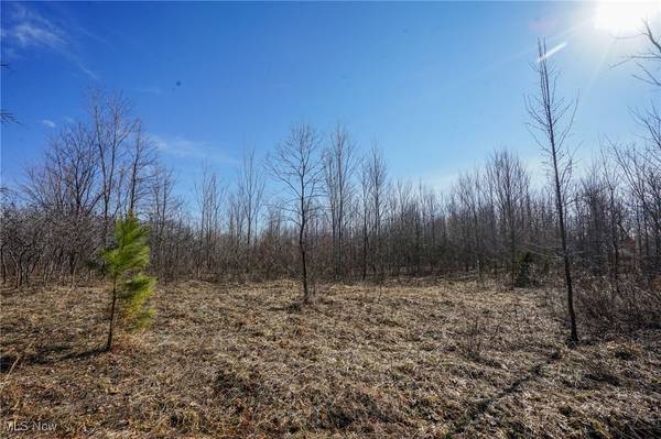 16 Dodds Rd,  Piketon,  OH 45646