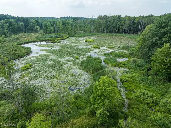 Pierpont, OH 44082,5719 N Richmond RD