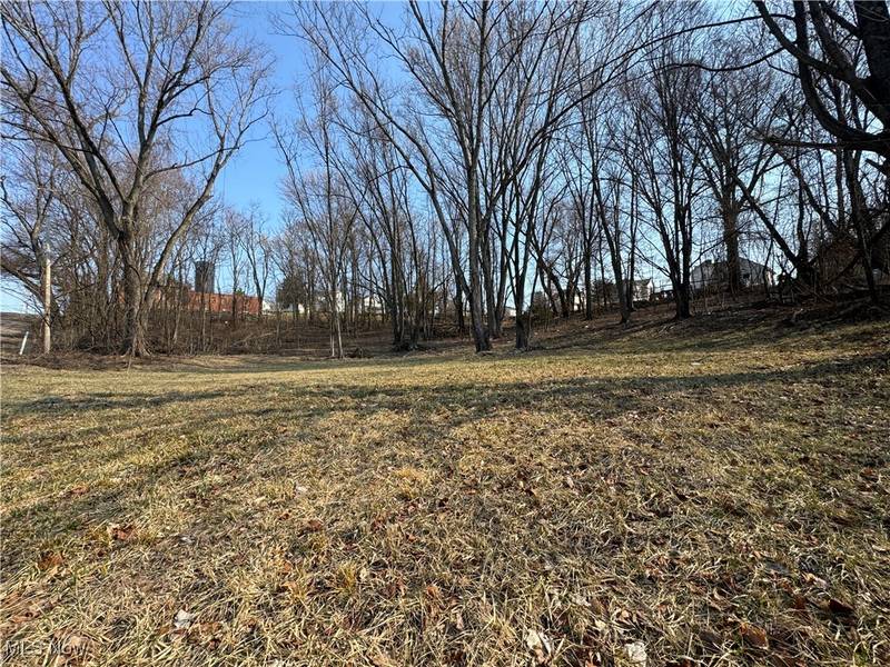 Pearl ST, Flushing, OH 43977