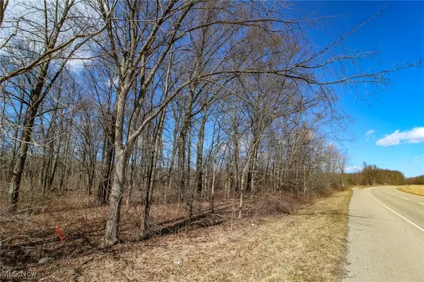 North Jackson, OH 44451,0 N Bailey RD